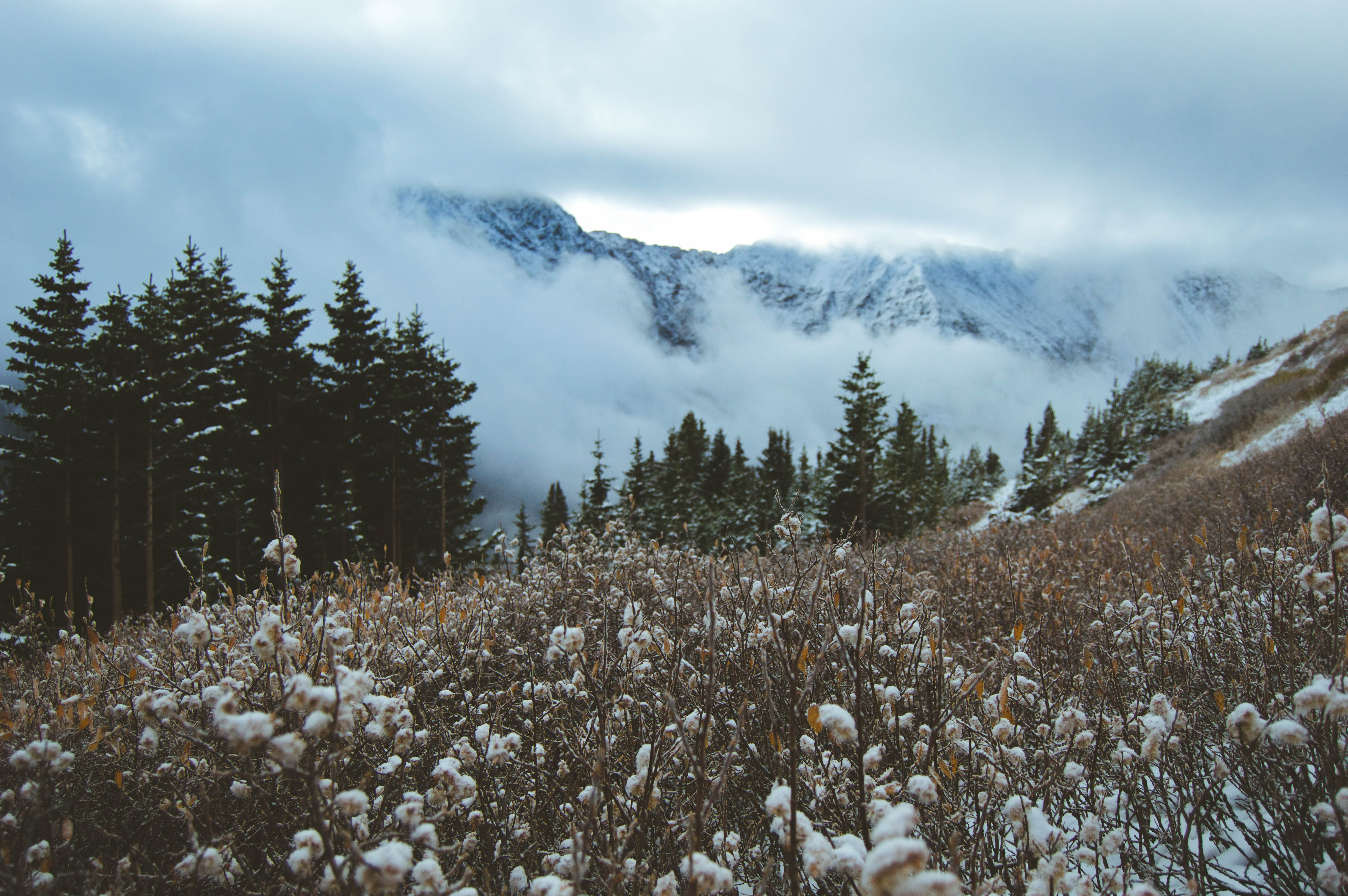 Kat Cozadd - Landscape