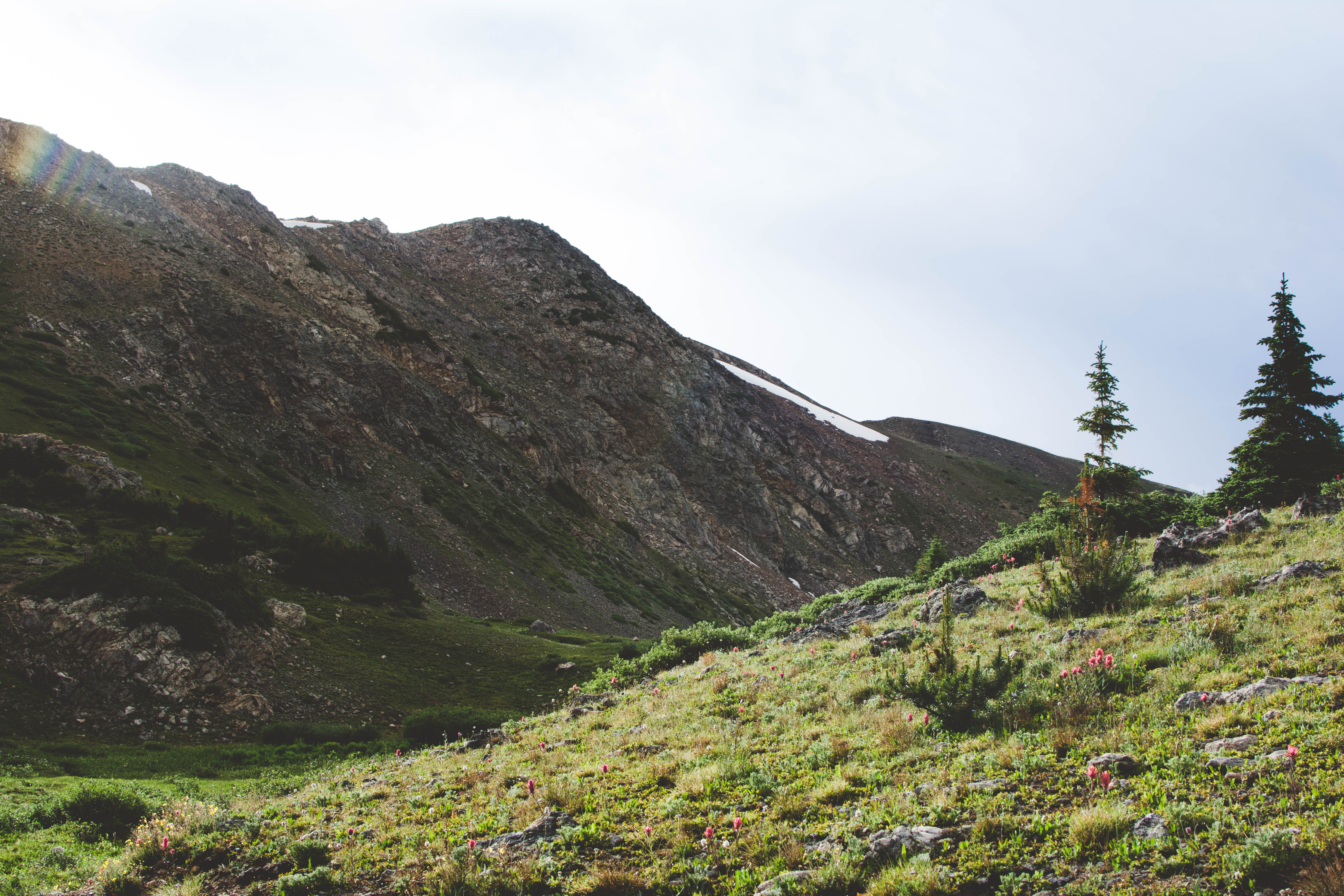 Kat Cozadd - Landscape